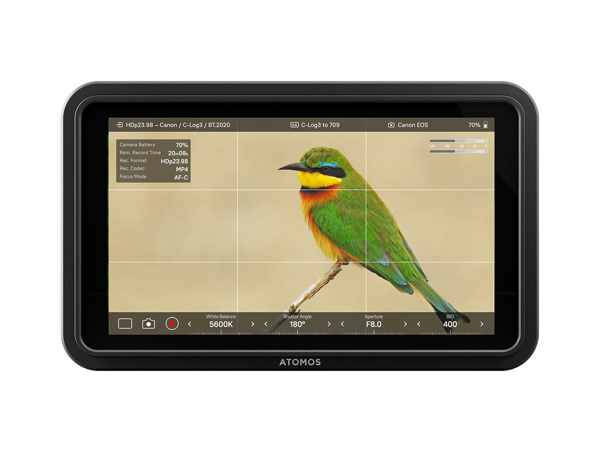 Atomos Shinobi II