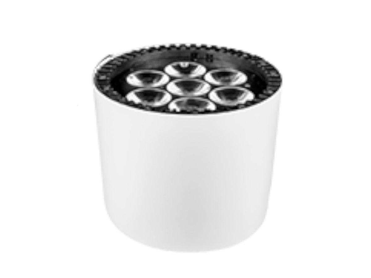 Astera Flex Cover (Set of 8) - White