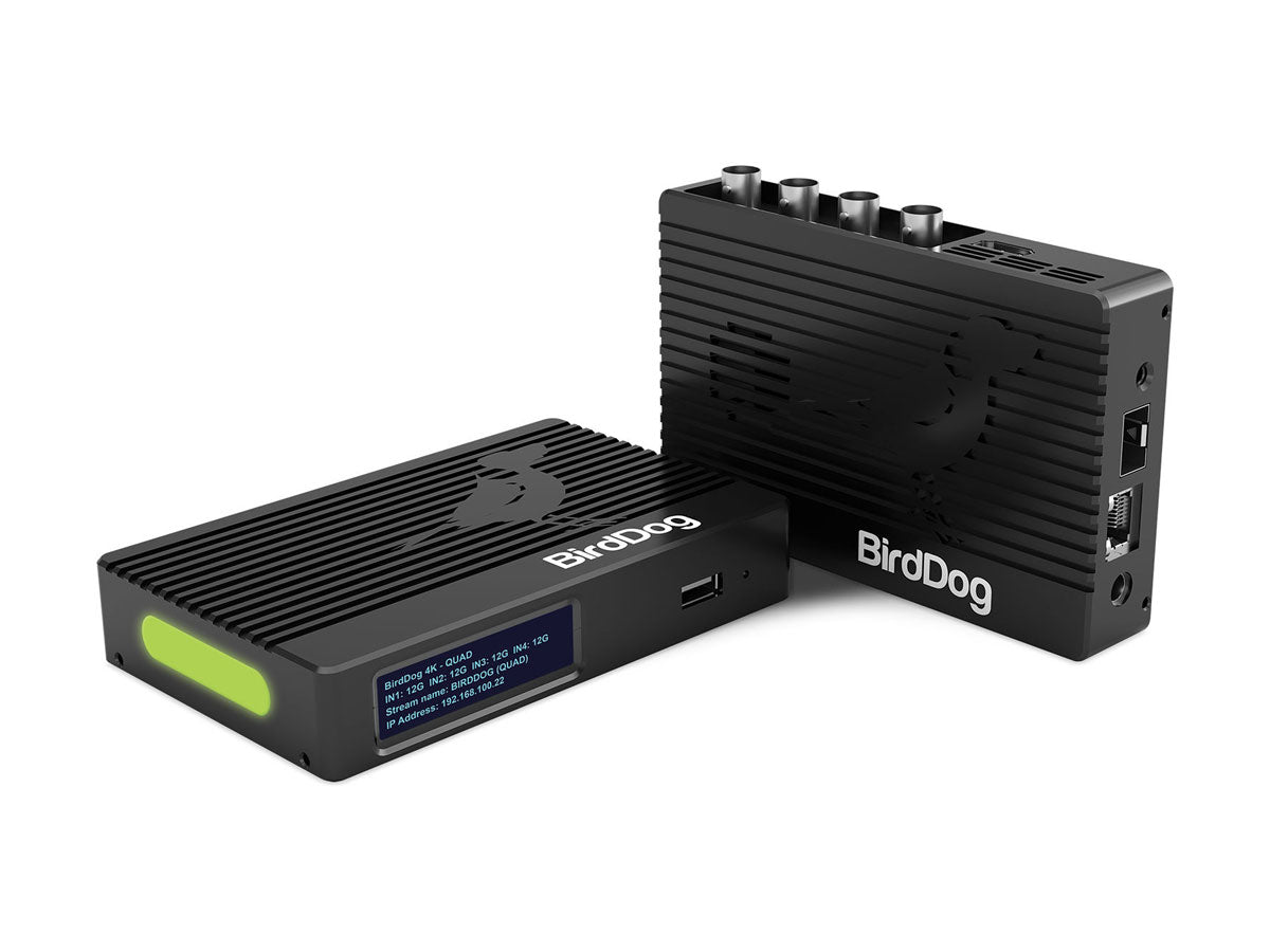 BirdDog 4K Quad NDI Encoder/Decoder