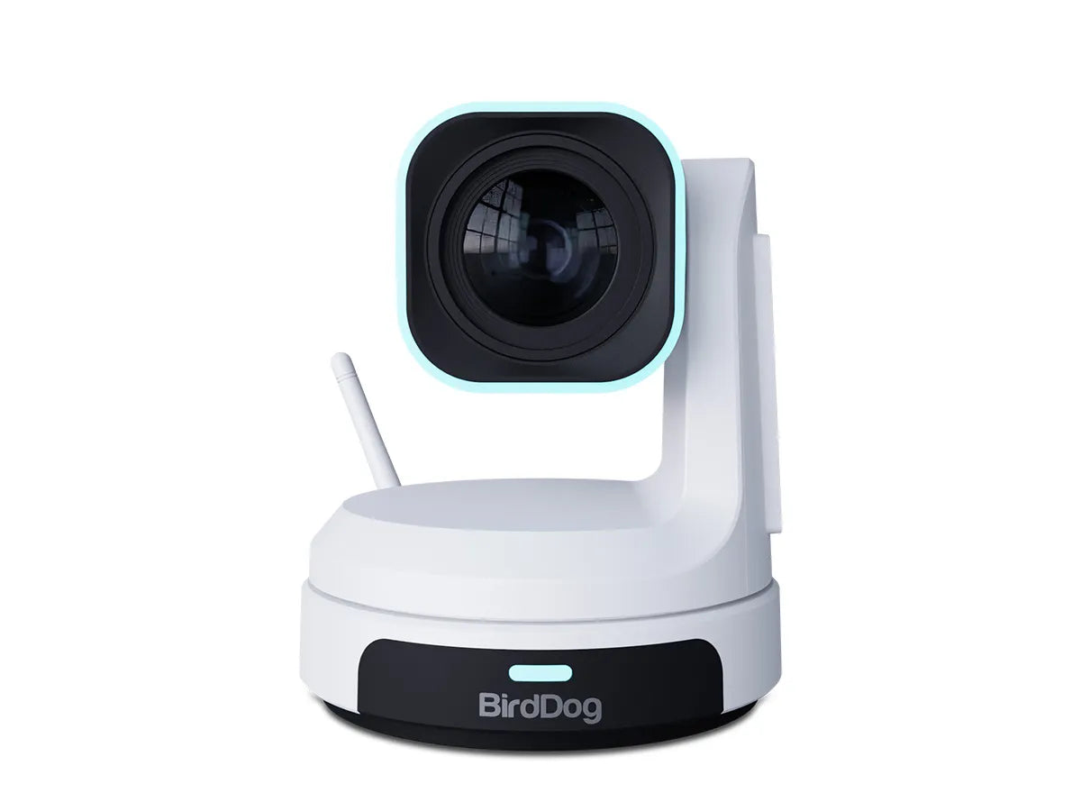 BirdDog X1 30x PTZ Camera (White)