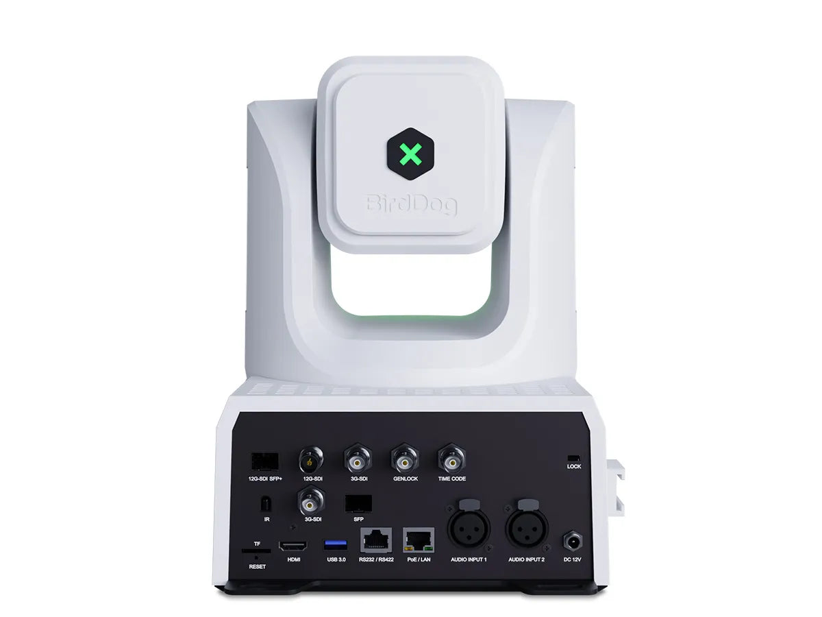 BirdDog XL Ultra PTZ Camera (White)