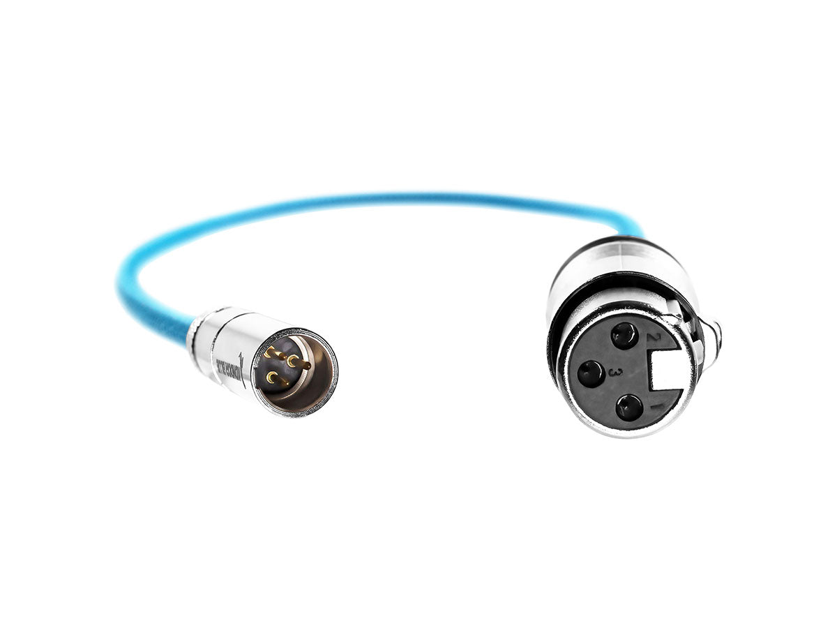 Kondor Blue Mini XLR Male to XLR Female Audio Cable - Blue