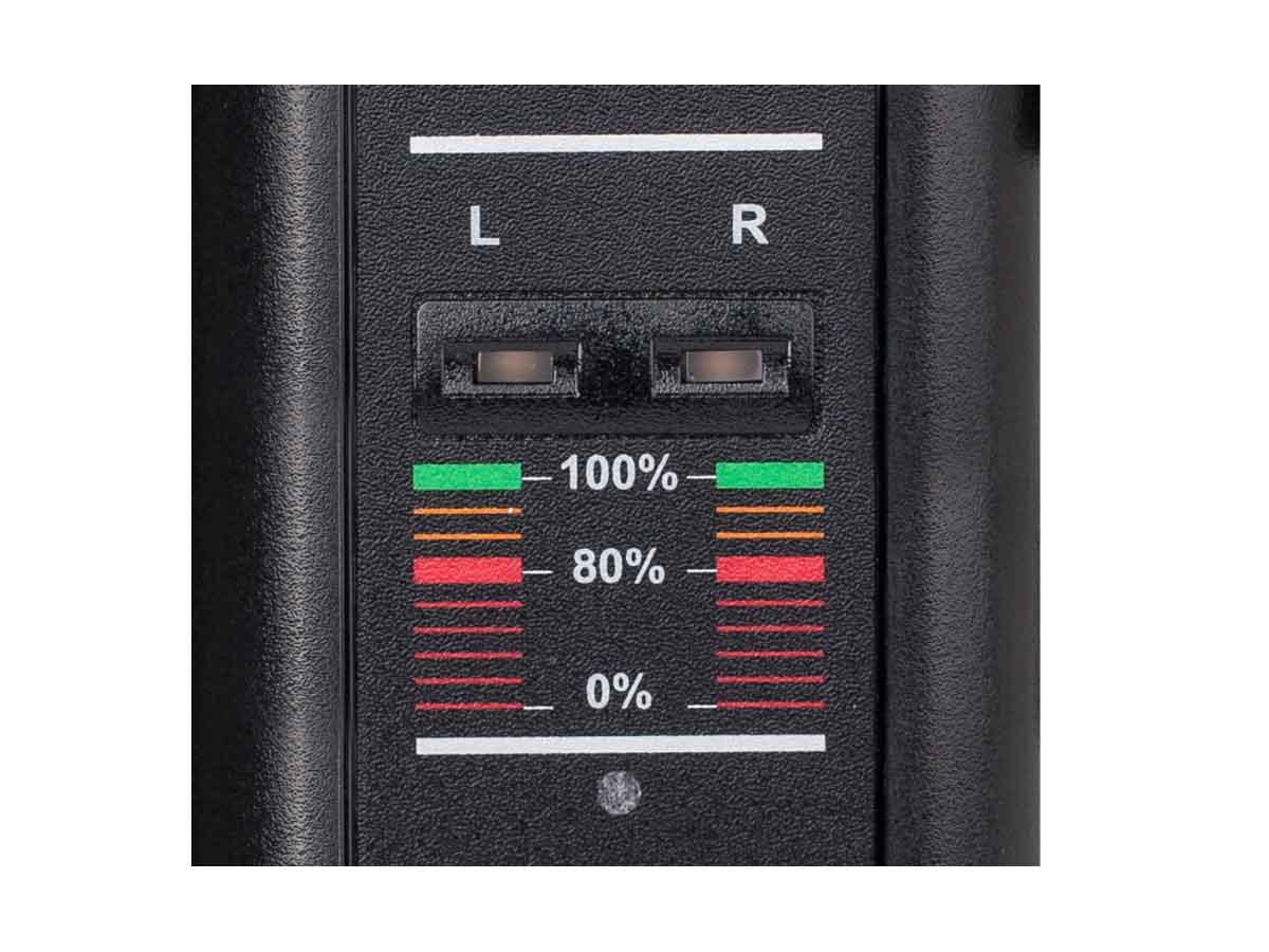 Swit S-3822A 2-ch Gold Mount Charger