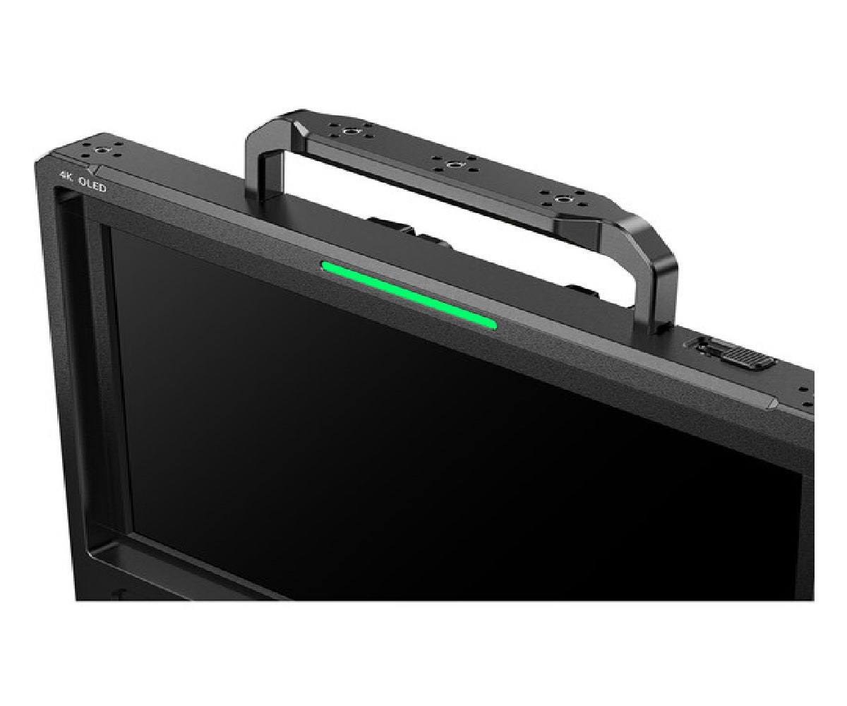 Desview OL14-14'' 4K Professional Director Monitor(OLED Display)