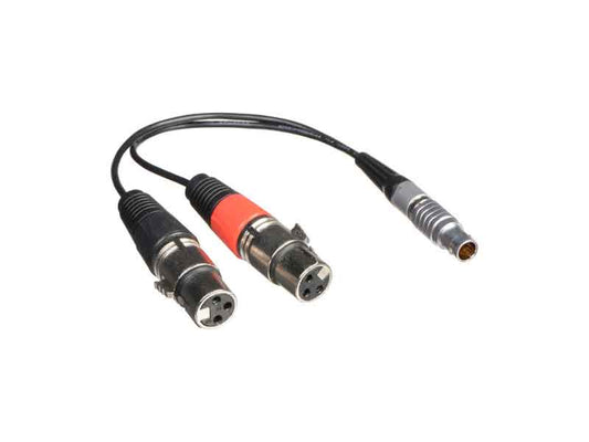 Atomos XLR Breakout Cable for Shogun (Input Only)