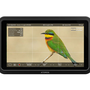Atomos Shinobi II