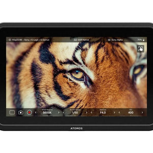 Atomos Shinobi 7 II