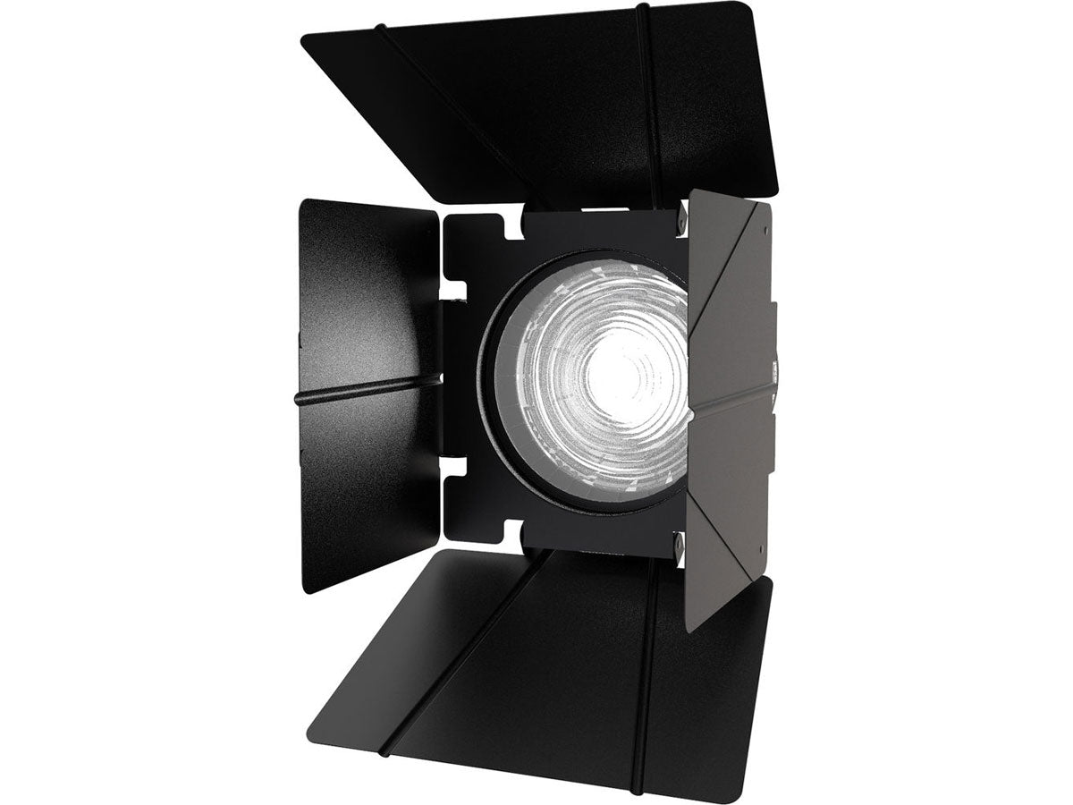 Aputure F10 Barndoors