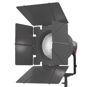 Aputure F10 Barndoors