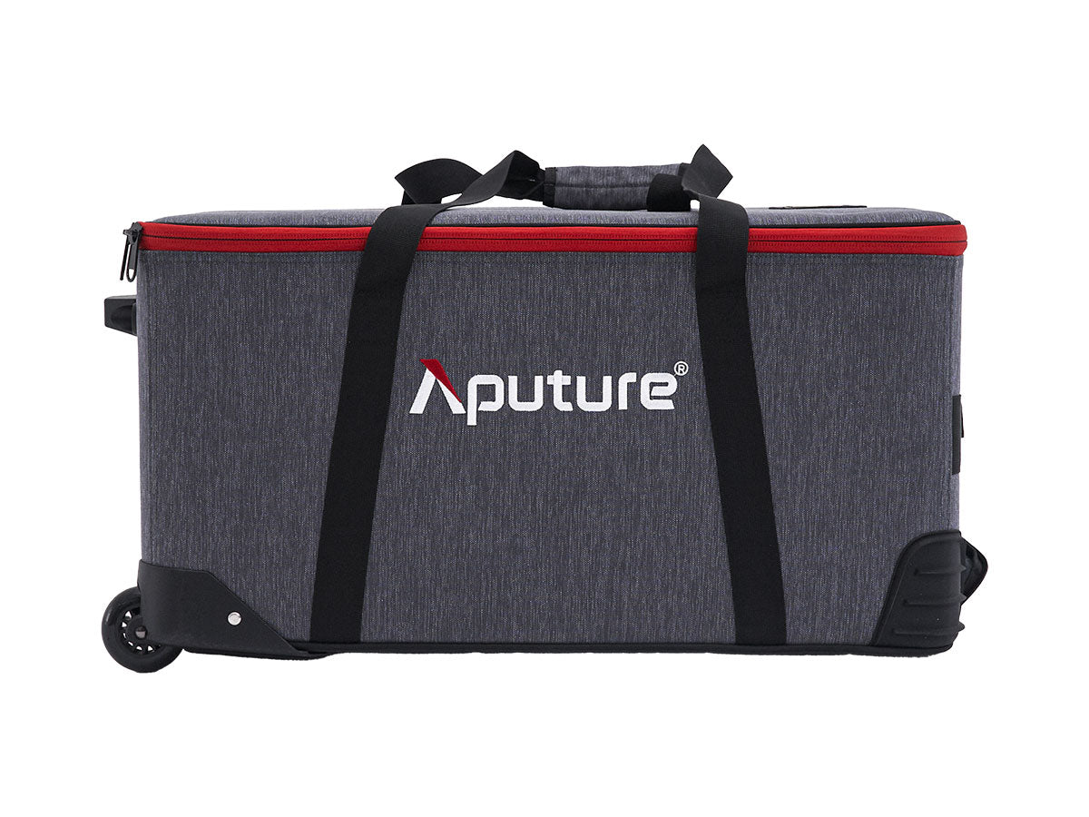 Aputure LS 600c Pro II (EU version)