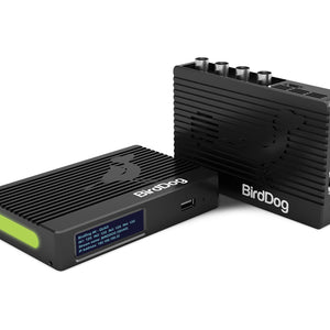 BirdDog 4K Quad NDI Encoder/Decoder