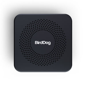 BirdDog PLAY Pro