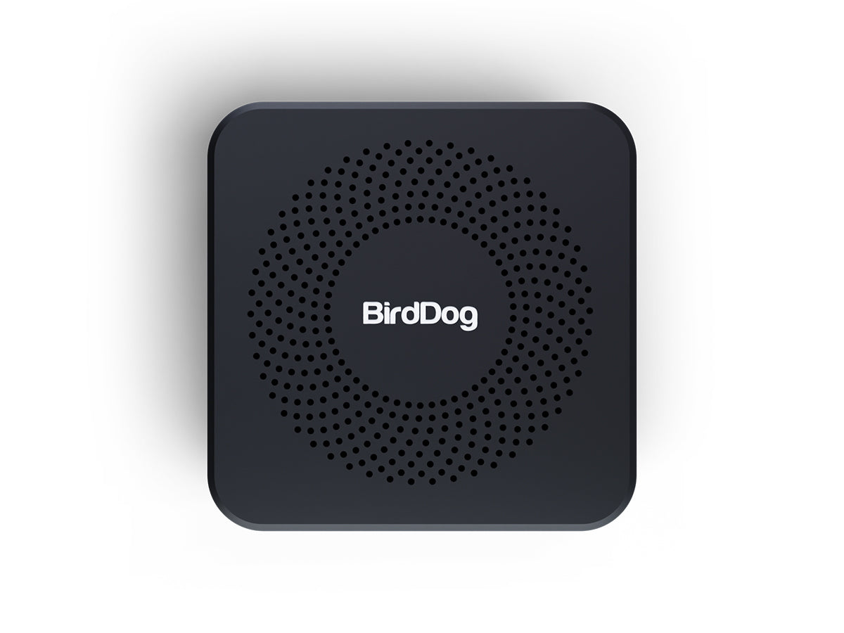 BirdDog PLAY Pro