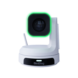 BirdDog X1 - White