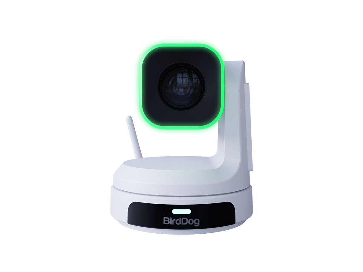 BirdDog X1 - White