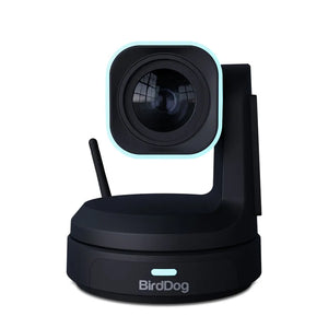 BirdDog X1 30x PTZ Camera (Black)