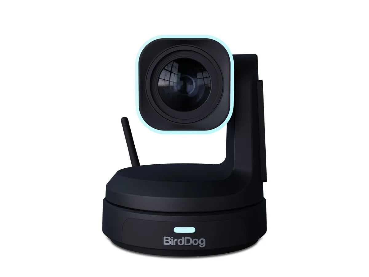 BirdDog X1 30x PTZ Camera (Black)