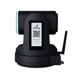 BirdDog X1 30x PTZ Camera (Black)