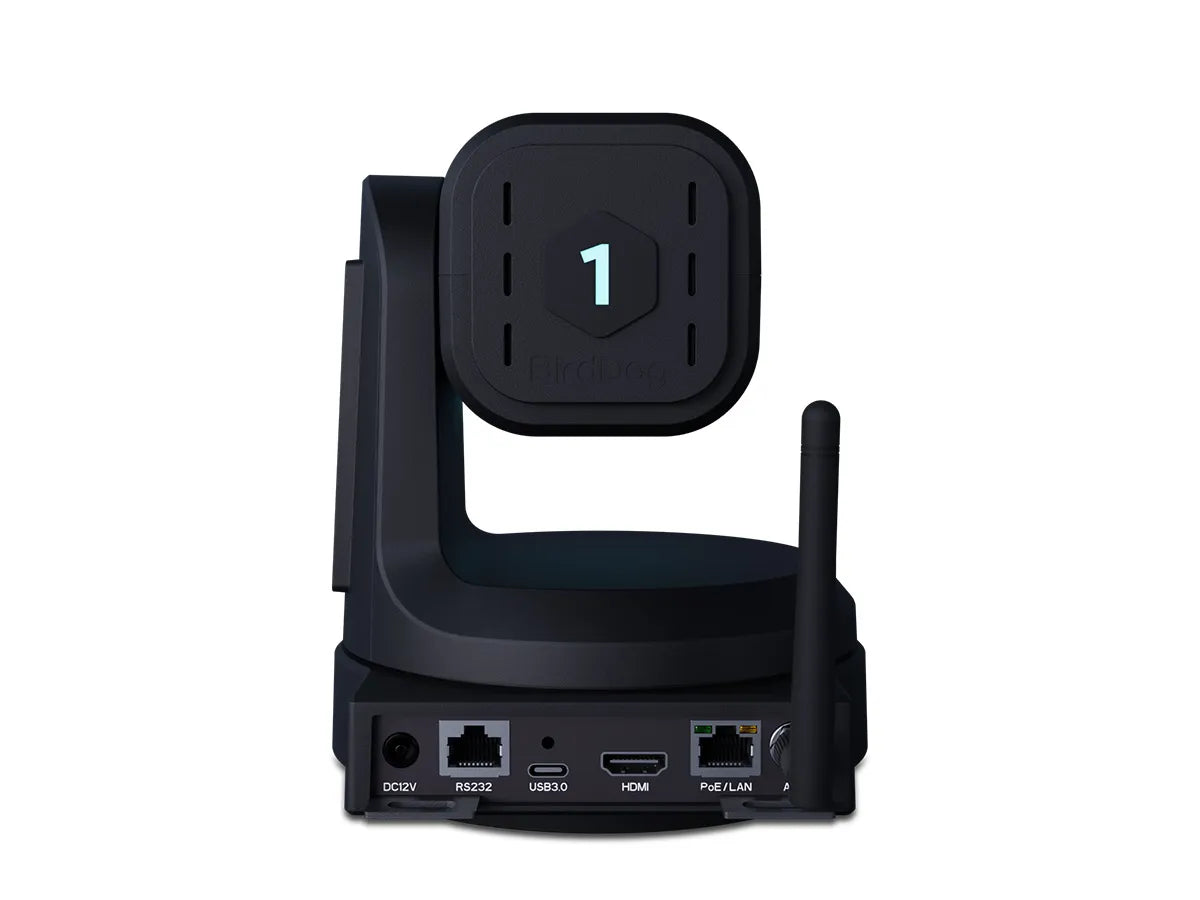 BirdDog X1 30x PTZ Camera (Black)