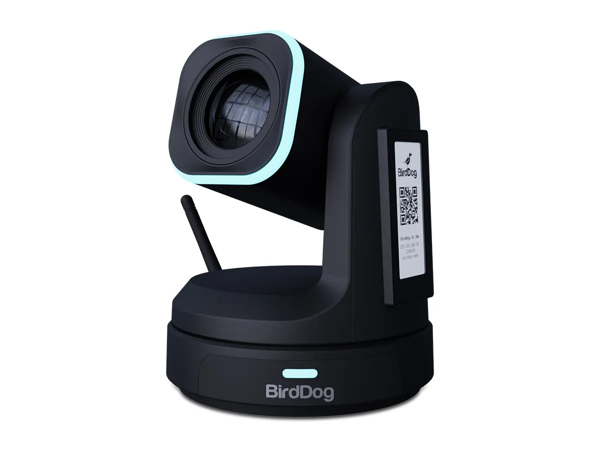 BirdDog X1 30x PTZ Camera (Black)