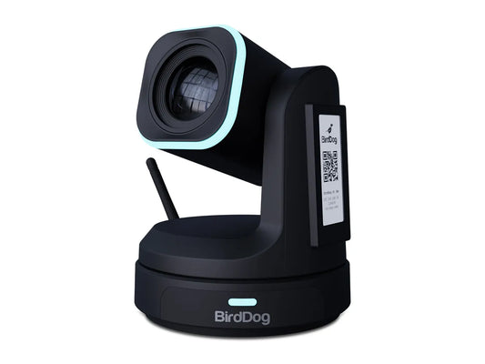 BirdDog X1 30x PTZ Camera (Black)