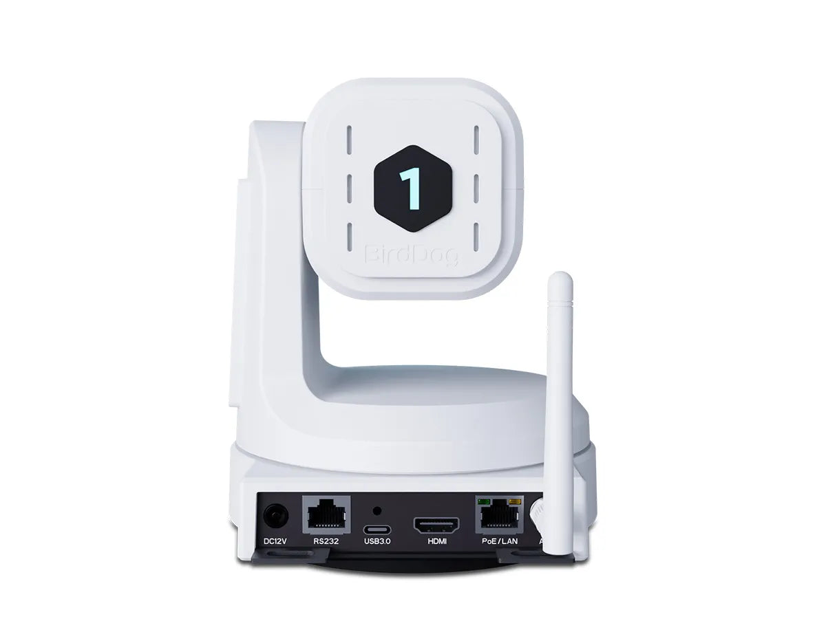 BirdDog X1 30x PTZ Camera (White)