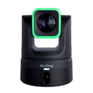 BirdDog XL Ultra PTZ Camera (Black)