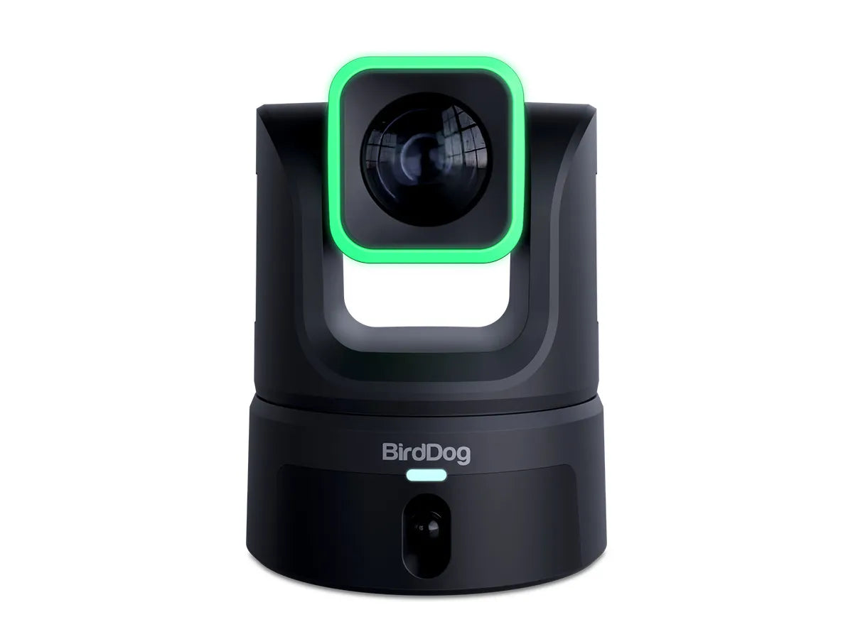 BirdDog XL Ultra PTZ Camera (Black)