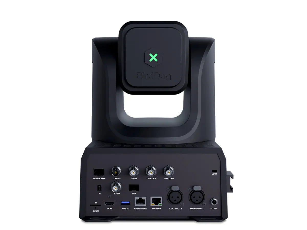 BirdDog XL Ultra PTZ Camera (Black)