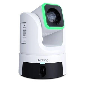 BirdDog XL Ultra PTZ Camera (White)