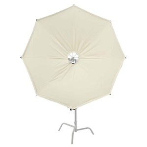 Lightbridge Snapbridge Insert 5ft – Colour Bounce Unbleached