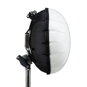 Caligri Eclipse 40