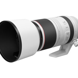 Canon RF 100-500mm F4.5-7.1L IS USM Lens
