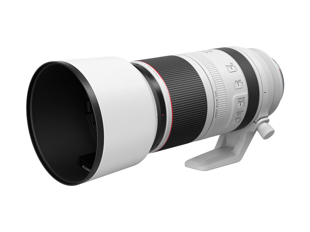 Canon RF 100-500mm F4.5-7.1L IS USM Lens
