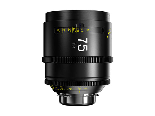 DZOFILM Arles 75mm FF/VV Prime Cine Lens - PL Mount