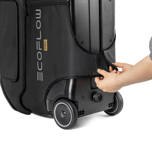 EcoFlow DELTA Pro Bag