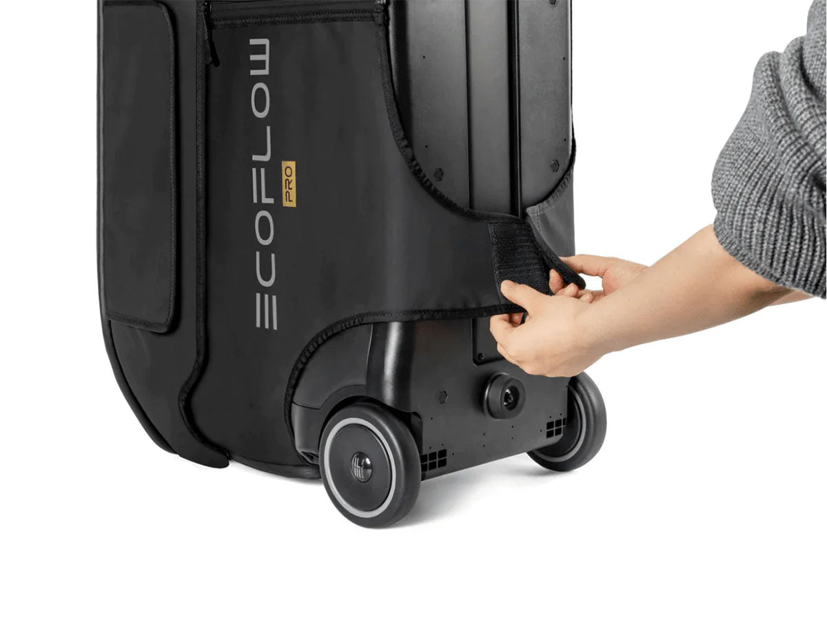 EcoFlow DELTA Pro Bag
