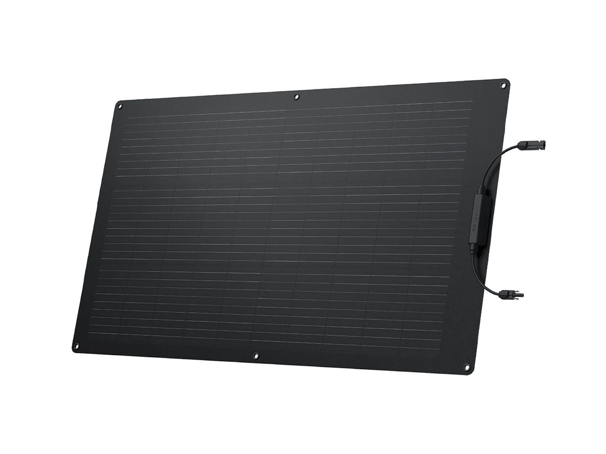 EcoFlow 100W Flexible Solar Panel
