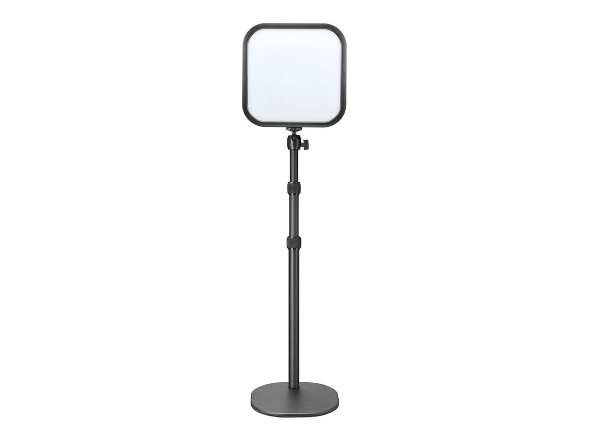 Godox ES30 LED Light - Kit 2
