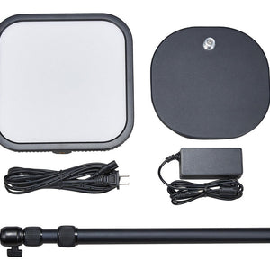 Godox ES30 LED Light - Kit 2