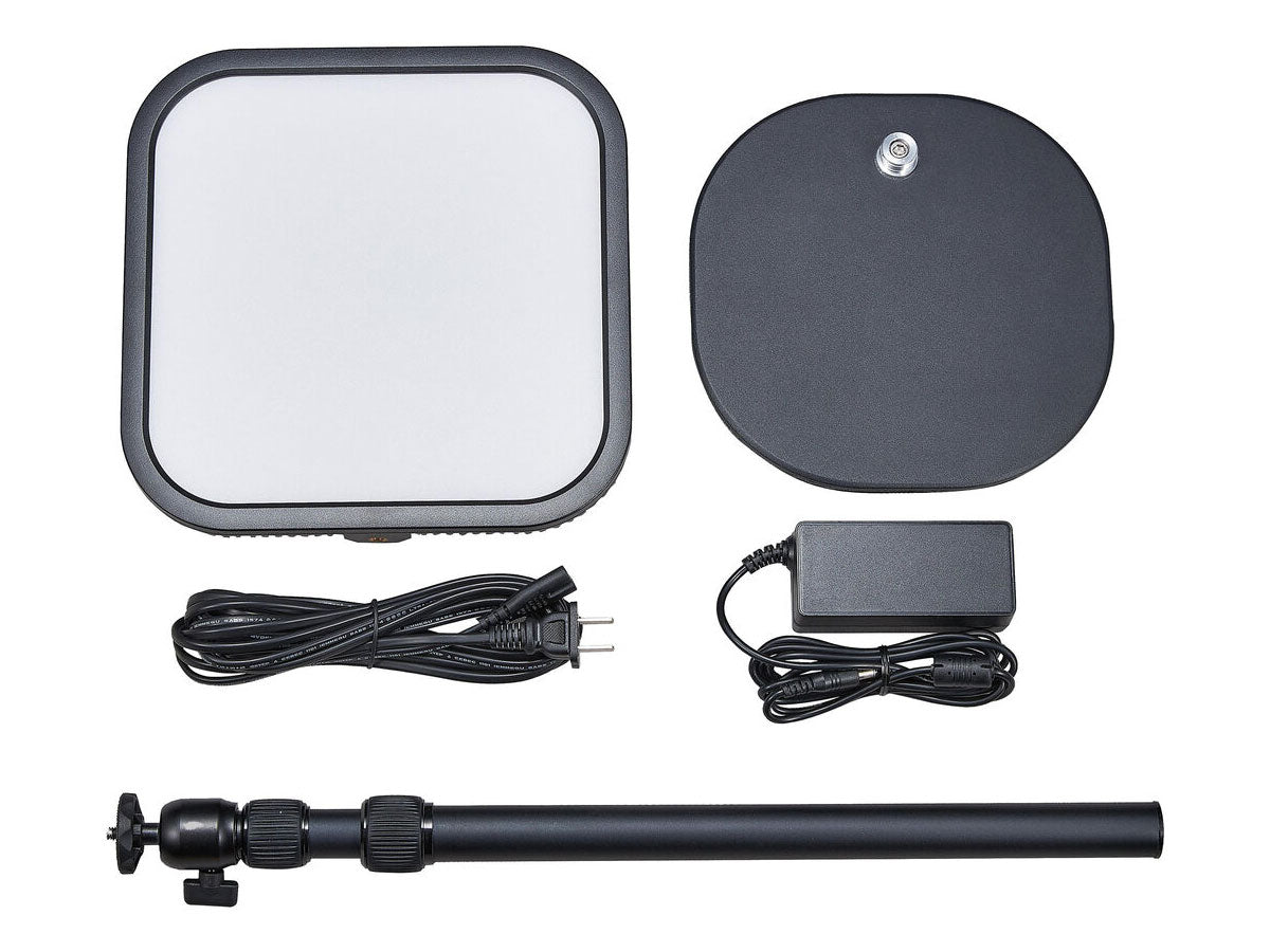 Godox ES30 LED Light - Kit 2