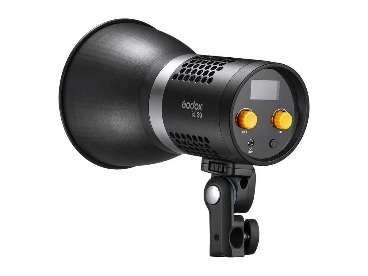 Godox ML30 Daylight LED Light