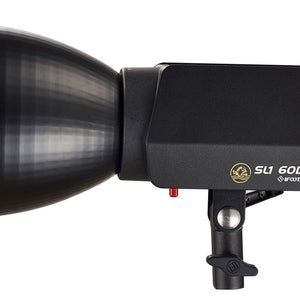 iFootage Anglerfish SL1 60DN LED Light - Standard
