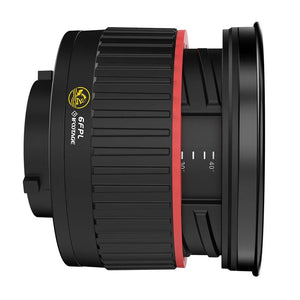 iFootage 6FPL 6 Inch Fresnel