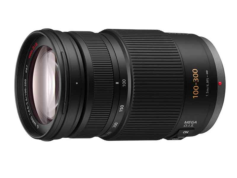 Panasonic Lumix G Vario 100-300mm f4-5.6 II / Power OIS Lens