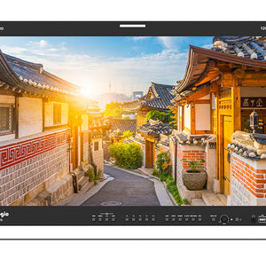 TV Logic LUM-242G 24" 4K HDR Emulation Monitor