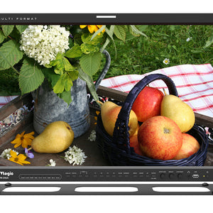 TV Logic LVM-246A 24" 3G-SDI Professional LCD Monitor