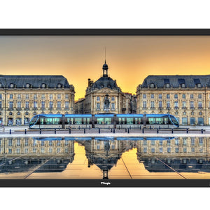 TV Logic S-42P 42" FHD Studio Wall Monitor