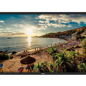 TV Logic S-55P 55" FHD Studio Wall Monitor