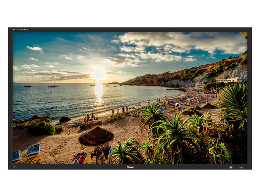 TV Logic S-55P 55" FHD Studio Wall Monitor